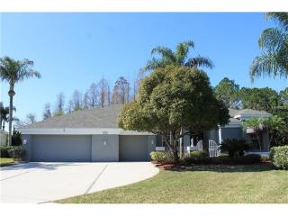 8218 Still Pond Ct, New Port Richey, FL 34655-4581
