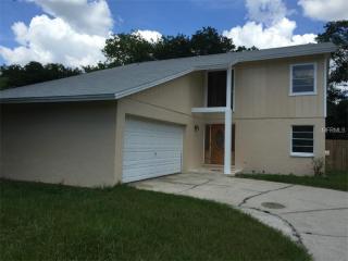 18423 Swan Lk Dr, Lutz FL  33549-5872 exterior
