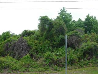 1911 Merrick Dr, Deltona, FL 32738-4953