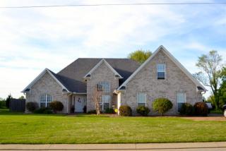17 Lesia Dr, Medina, TN 38355-6898