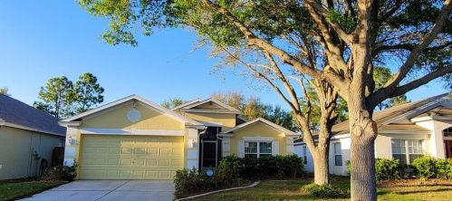 10510 Egret Haven Ln, Riverview, FL 33578-3358