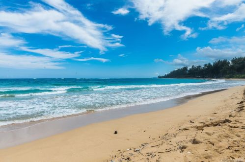 55-135 Kamehameha Hwy, Laie, HI 96762