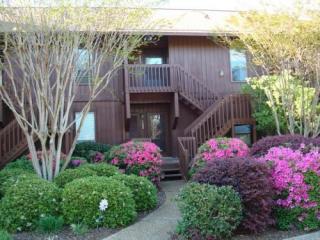 223 Lanai Vlg, Bay Saint Louis MS  39525-3456 exterior