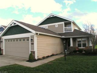 3010 Island Creek Dr, Medina OH  44256-6794 exterior