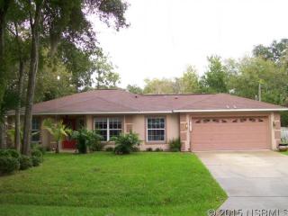 1511 Pine Tree Dr, Edgewater, FL 32132-2507