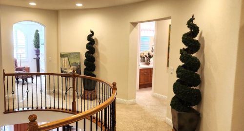 3431 Corvina Dr, Rancho Cordova CA 95670-6934 exterior