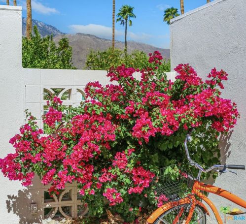 1840 Sandcliff Rd, Palm Springs CA  92264-4844 exterior