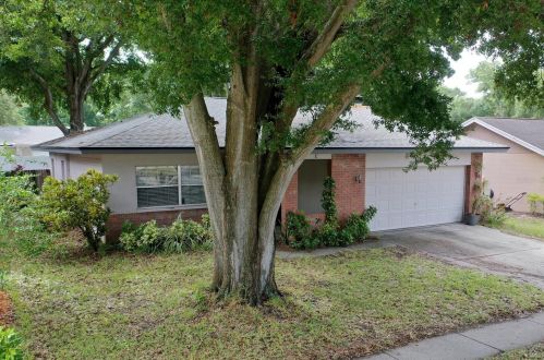 1809 Citrus Hill Ln, Palm Harbor, FL 34683-3910