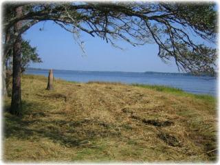 507 Prichard Ave, Havelock, NC