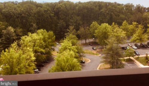 2230 George C Marshall Dr, Falls Church VA  22043-2529 exterior