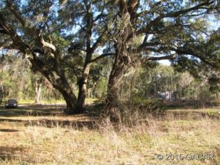 4350 100th Ave, Chiefland, FL 32626-6955