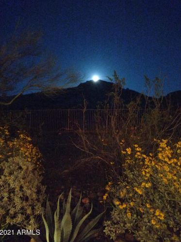 15253 12 St, Phoenix AZ 85086-7358 exterior