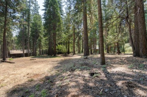 6832 Retreat Ln, Pacific House CA  95726-9465 exterior