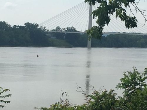 619 Riverside Dr, Russell, KY 41169-1360