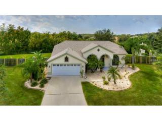 11801 Tall Elm Ct, Riverview, FL 33569-5684