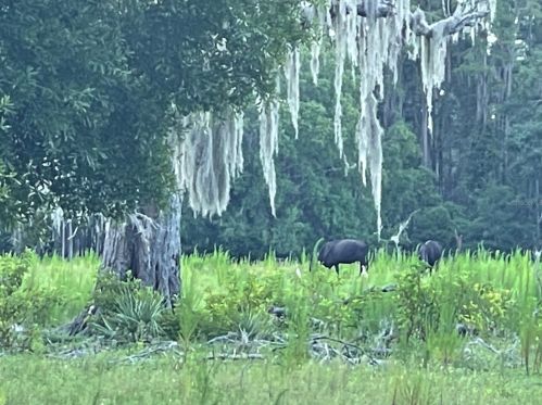 15408 Princewood Ln, Land O Lakes FL  34638-6873 exterior