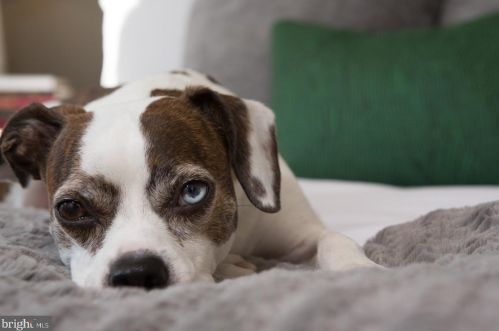 121 2nd St, Philadelphia PA  exterior