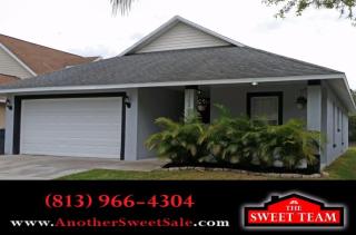 10219 Summerview Cir, Riverview FL  33578-7552 exterior