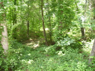 845 Spring Valley Rd, Cookeville, TN 38501-3785