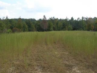 420 Estate Cir, Counce TN  38326-2040 exterior