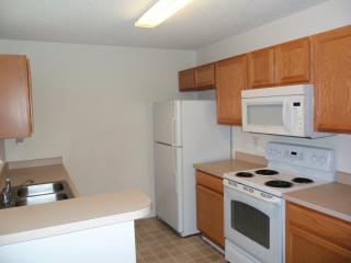 113 Foley Ln, Lexington SC  29072-7373 exterior