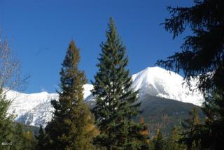 1252 Remicks Rd, Swan Valley, MT 59826-8923