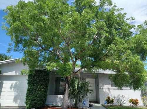 401 57th Ave, Hollywood FL  33021-6207 exterior