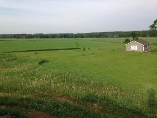 303 Royal Ave, Fenwood WI  54426-9286 exterior