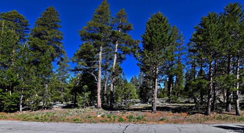 1724 Bakersfield St, South Lake Tahoe, CA 96150-5242
