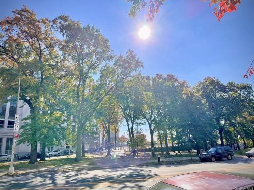 941 Jerome Ave, Bronx, NY 10452-5701