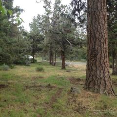 2231 7 St, Bend OR  97701-4313 exterior