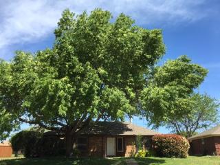 1307 Edelweiss Dr, Allen TX  75002-4414 exterior