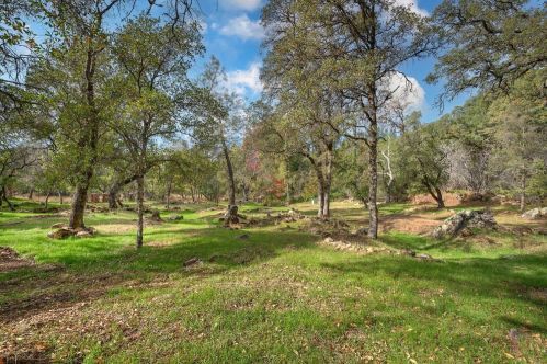 1290 Kellogg St, Newcastle CA  95658-9701 exterior