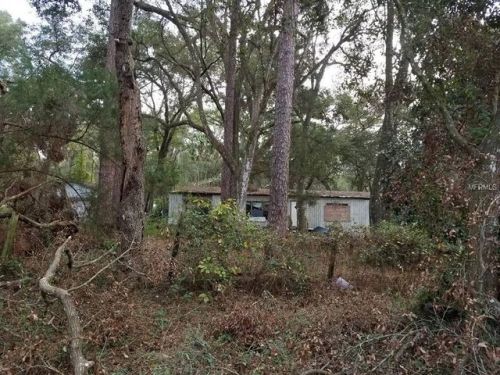 4655 110th Pl, Ridge Manor Estates, FL 33597-7262