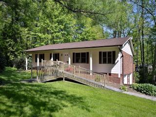 225 Haywood Knolls Dr, Hendersonville, NC 28791-8717
