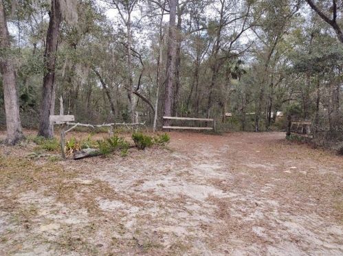 114 Breezy Oak Ln, Fort Mc Coy, FL 32134-2709