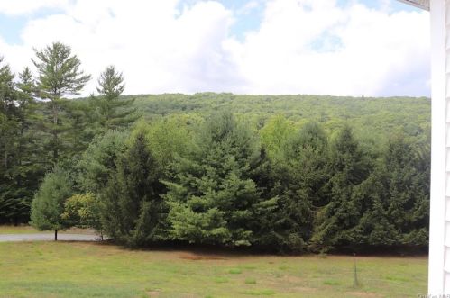4174 State Route 17b, Callicoon, NY 12723-5667
