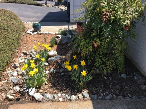 164 Mcnab Cir, Grass Valley CA  95945-5646 exterior