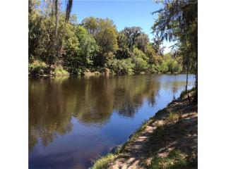 795 Hyde St, Wachula, FL 33873-9389