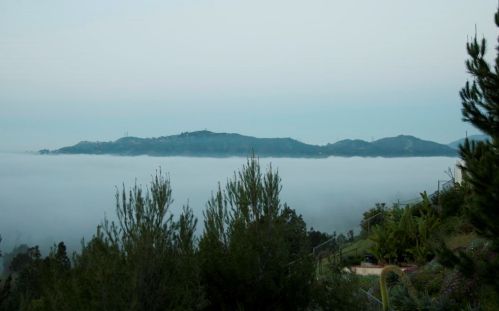 5320 Ivafern Ln, La Canada CA  91011-2811 exterior