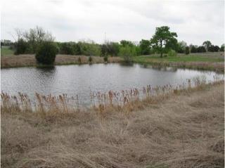19771 County Road 656, Farmersville, TX 75442-6041