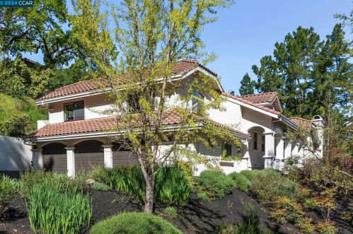 208 Valley Oaks Dr, Alamo, CA 94507-2046