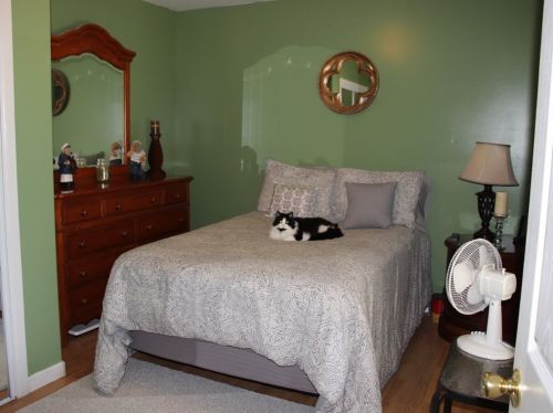 42 Brg St, Monson MA  01057-1208 exterior