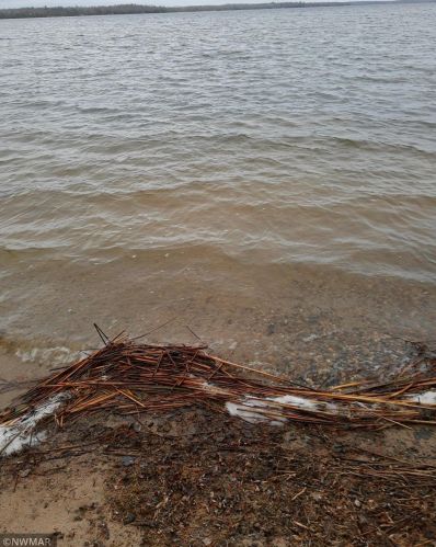 513 Lake Ave, Tenstrike, MN 56683-2082