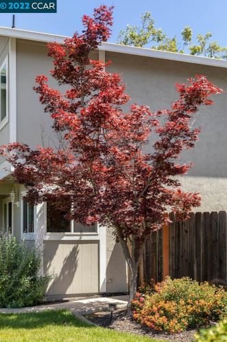 2167 Alexander Way, Pleasanton CA  94588-8313 exterior