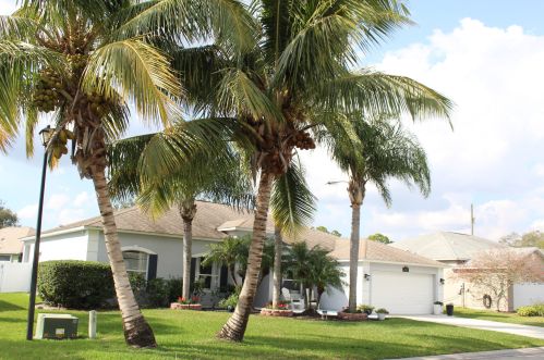 153 37th Dr, Vero Beach, FL 32968-3167