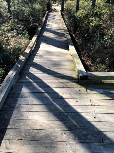 116 Slipper Shell Ct, Mount Pleasant SC  29464-6724 exterior