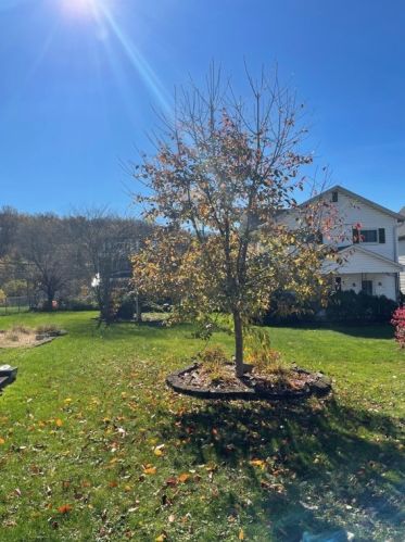 615 Snyder St, South Connellsville PA  15425-2818 exterior