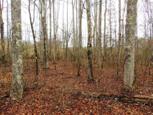 2006 Piute Rd, Crossville, TN 38572-6676