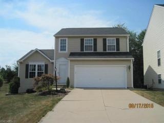 10131 Buckhorn Trl, Streetsboro, OH 44241-4345